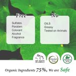COS DE BAHA – S4 Salicylic Acid BHA 4% Serum - Image 3