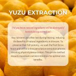 LALARECIPE – Yuzu Vita-C Ampoule Pad | Brightening - Image 4